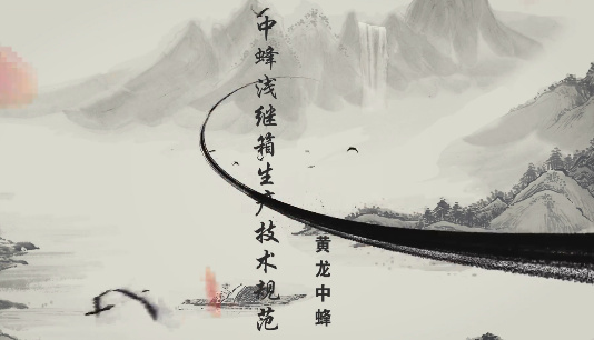 黄龙中蜂浅继箱生产技术...