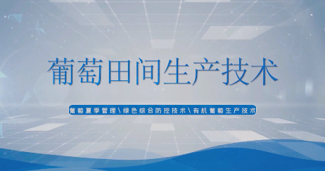 农业小课堂——葡萄田间...