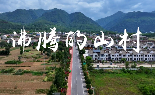 沸腾的山村5