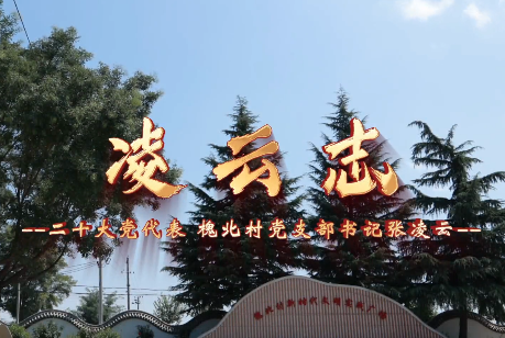 凌云志3