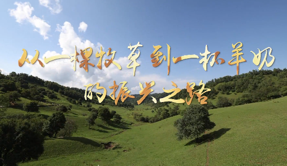 从一棵牧草到一杯羊奶的...15