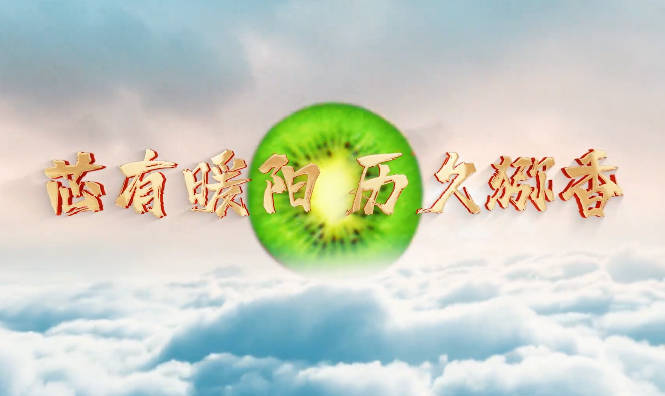 芯有暖阳 历久猕香9