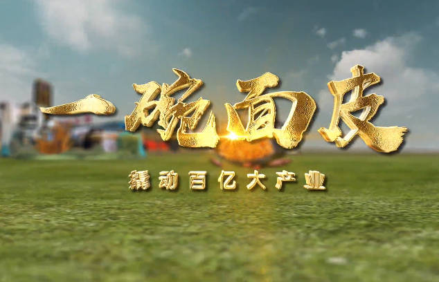 一碗面皮4