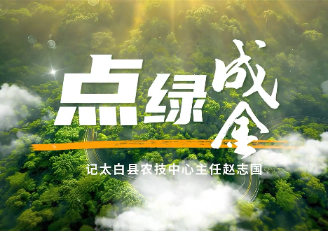 点绿成金4