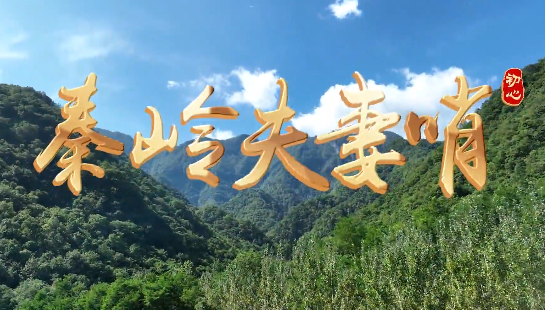 秦岭夫妻哨5