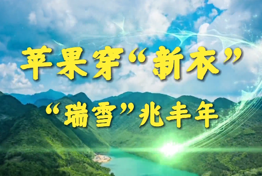 苹果穿“新衣”“瑞雪”...15