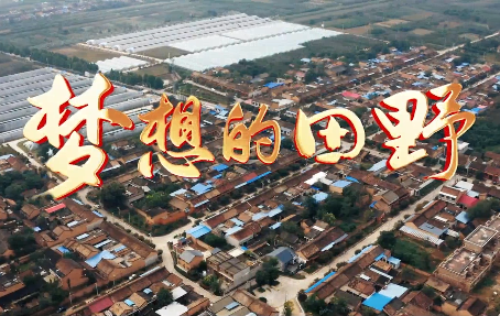 梦想的田野5