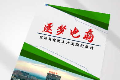 逐梦电商4