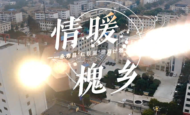情暖槐乡4