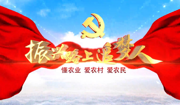 振兴路上追梦人