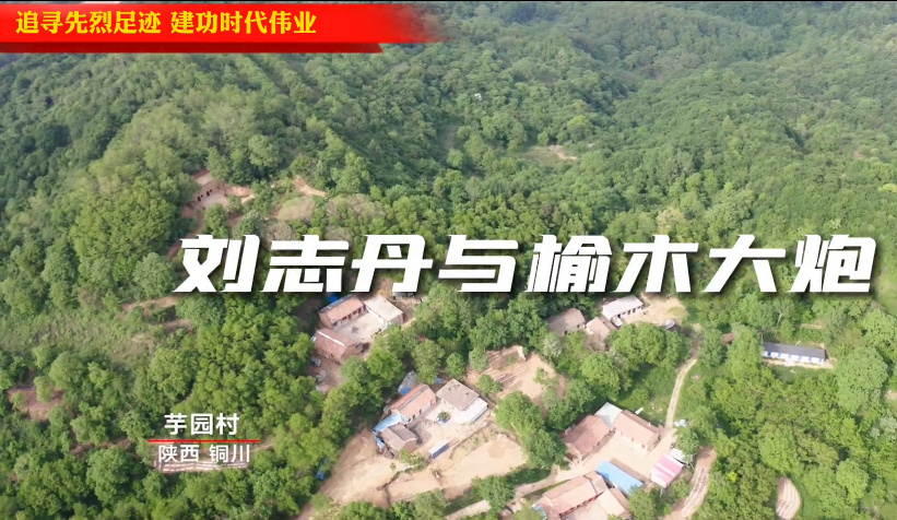 刘志丹和榆木大炮8