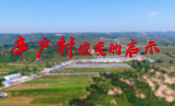 辛户村嬗变的启示8