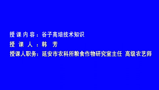 谷子高培技术培训8
