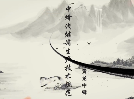 黄龙中蜂浅继箱生产技术...13