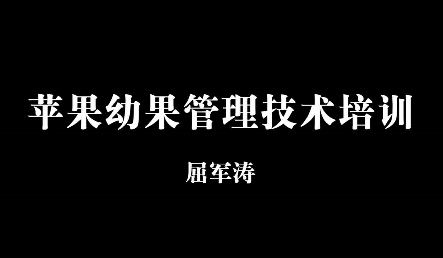 苹果幼果管理技术培训10