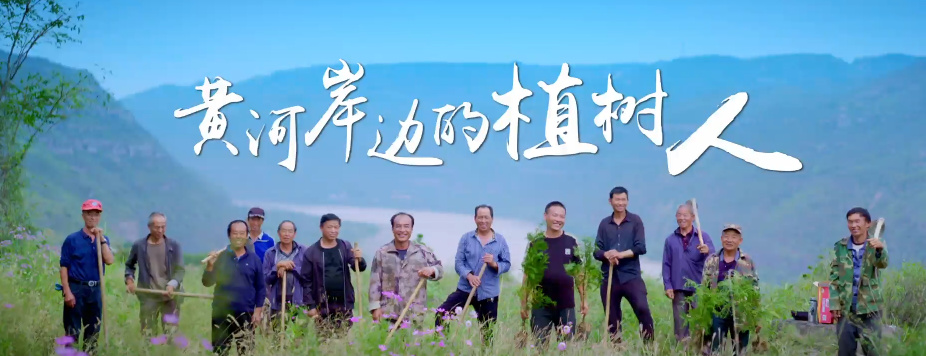 黄河岸边的植树人8