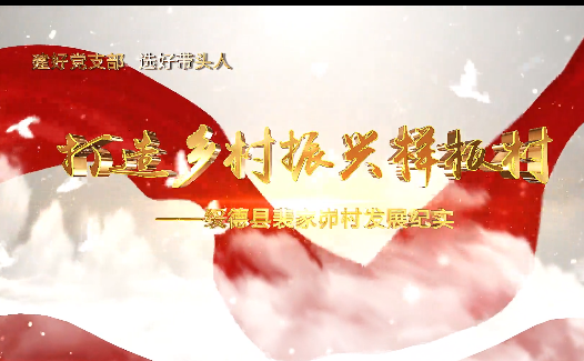 打造乡村振兴样板村9