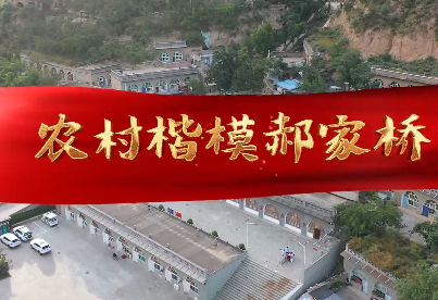 农村楷模郝家桥7