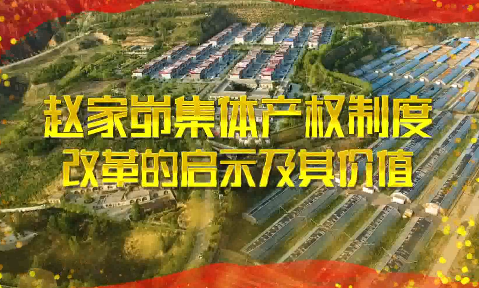赵家峁集体产权制度改革...18
