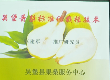 吴堡青梨标准化栽植技术...13
