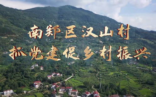 南郑区汉山村抓党建促乡...14