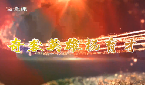 奇袭英雄杨育才7