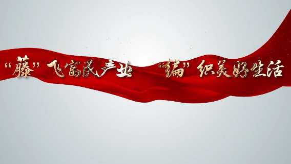 “藤”飞富民产业 “编...17