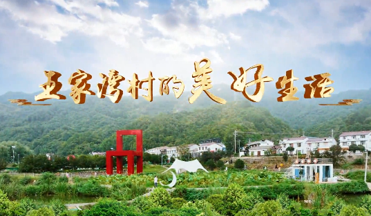 王家湾村的美好生活9
