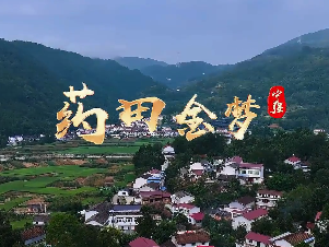 药田金梦4