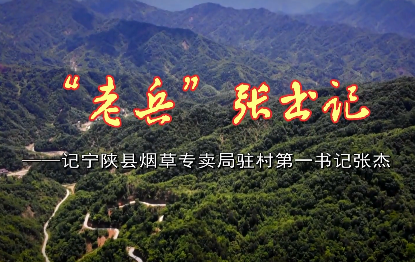 “老兵”张书记7