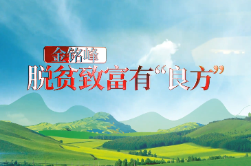 金铭峰 脱贫致富有“良方13