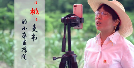 “桃”支书的小康直播间11