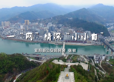 一“网”情深“小小白”11