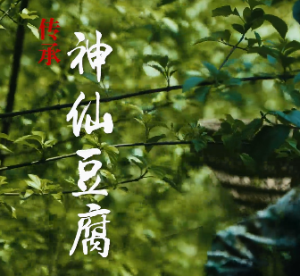 传承神仙豆腐6