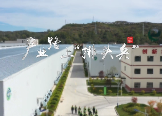 产业路上“排头兵”