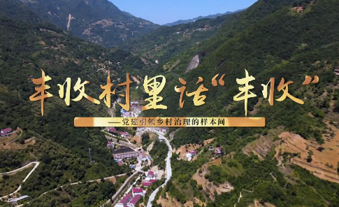 丰收村里话“丰收”