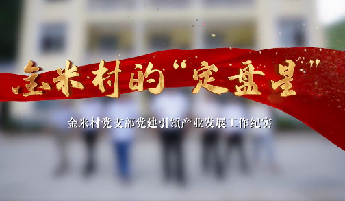 金米村的“定盘星”9