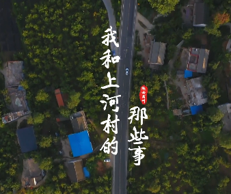 我和上河村的那些事9