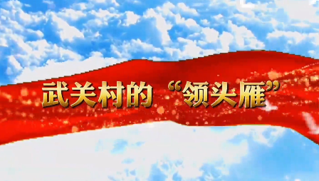 武关村的“领头雁”9