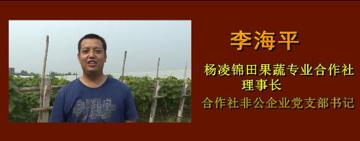 锦田创业的追梦人——李...