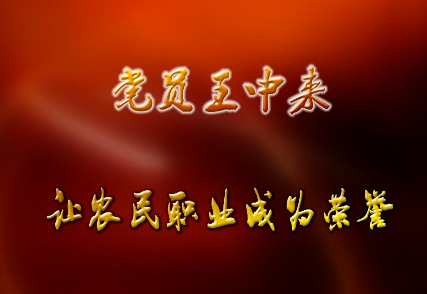 党员王中来——让农民职...