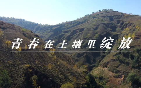青春在土壤里绽放8