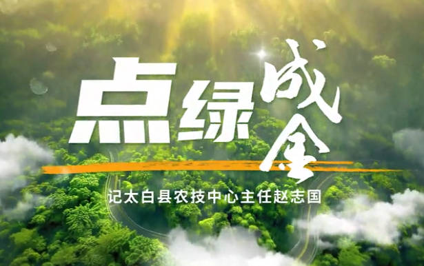 点绿成金