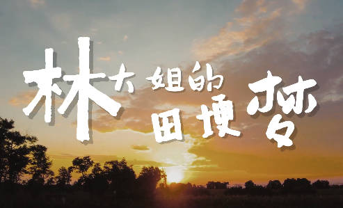 林大姐的田埂梦