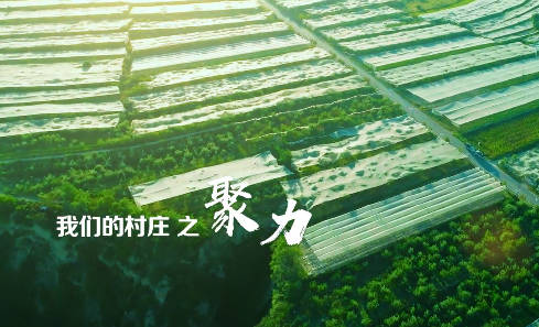 我们的村庄之聚力