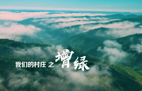 我们的村庄之增绿