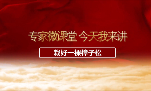 栽好一棵樟子松7