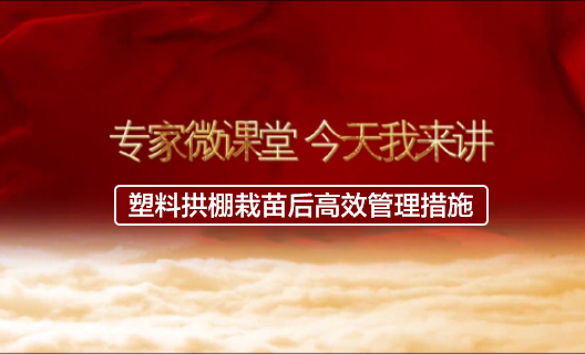 塑料拱棚栽苗后高效管理...13