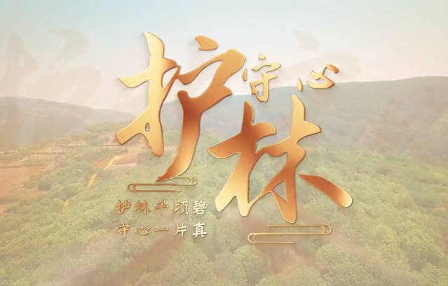 护林守心