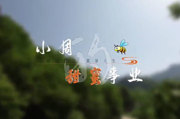 小周的甜蜜事业